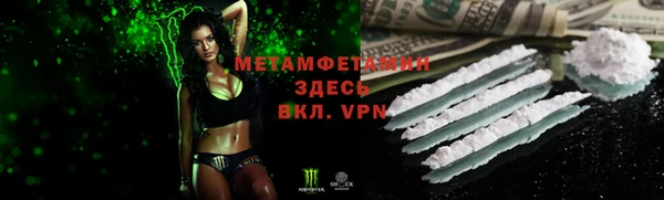 прущие грибы Володарск