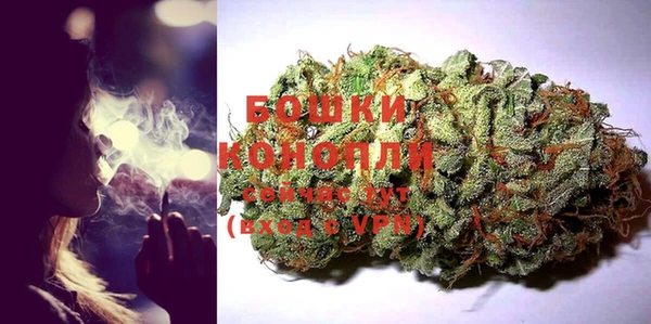 прущие грибы Володарск