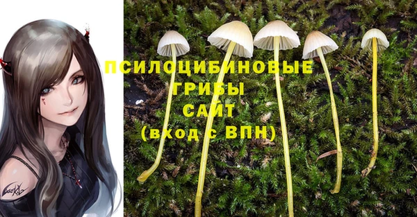 бошки Волосово