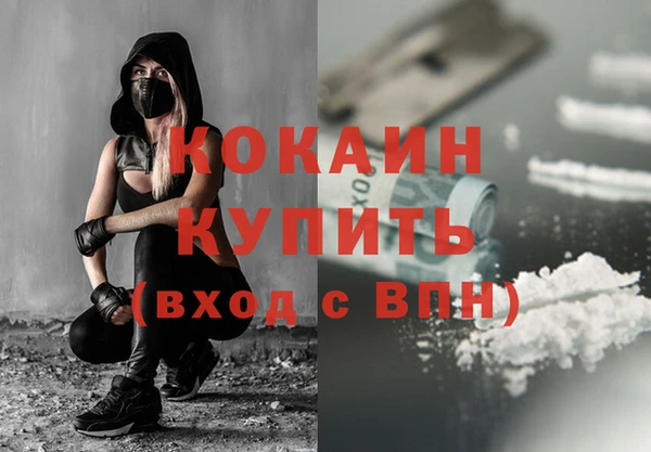 прущие грибы Володарск