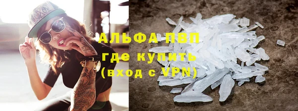 прущие грибы Володарск