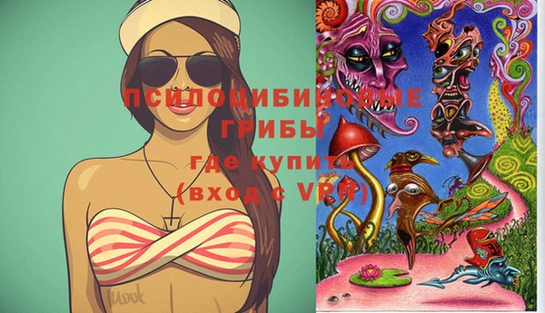 гидра Сосновоборск