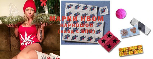 прущие грибы Володарск