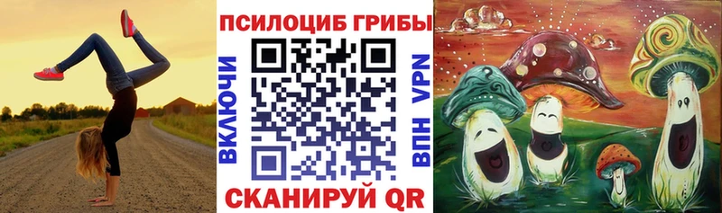 darknet телеграм  Кострома  Галлюциногенные грибы MAGIC MUSHROOMS 